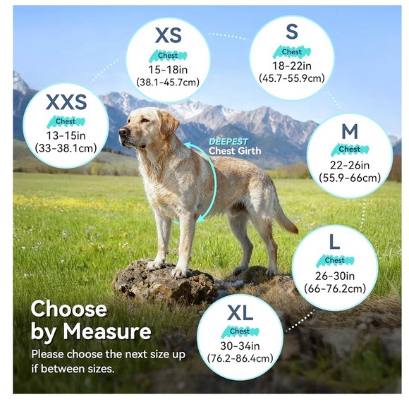 Blue Dog Raincoat XL NWOT - Picture 8 of 8